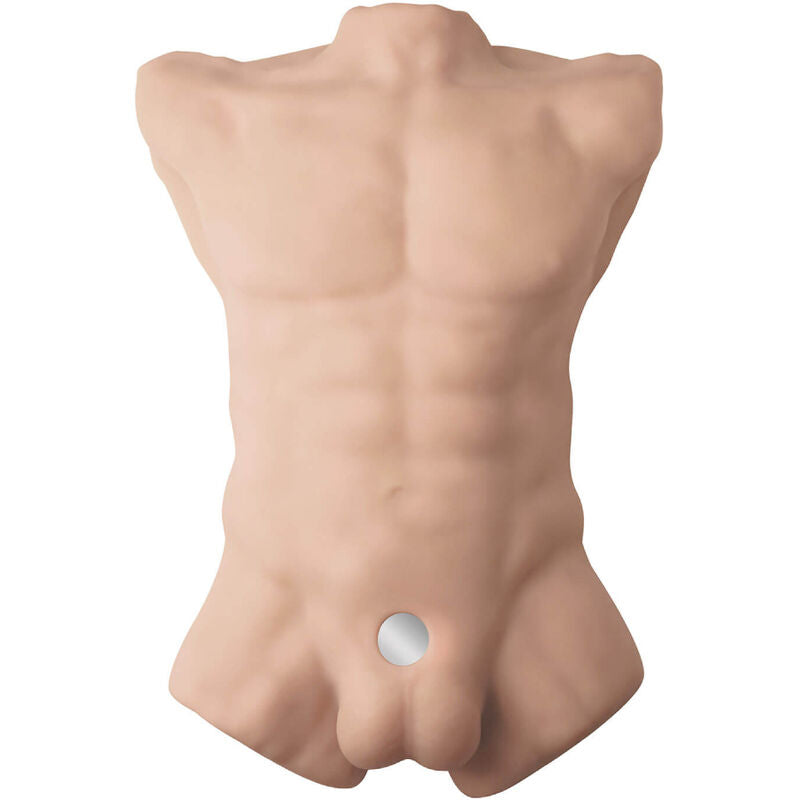 SILEXD - APOLLO L REALISTISK MANLIG TORSO